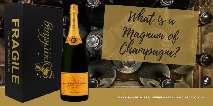 https://www.sparklingdirect.co.uk/blog/wp-content/uploads/2023/10/what-is-a-magnum-of-champagne.jpg